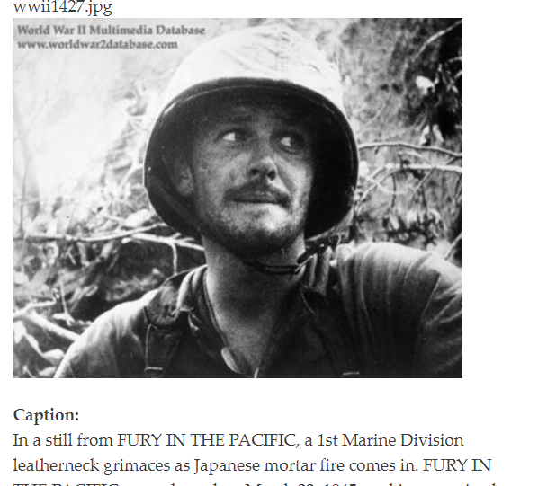 marine at peleliu.png