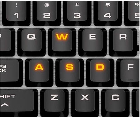 WASD.jpg