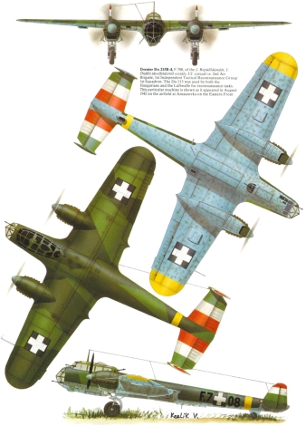 Dornier Do-215B-4.jpg