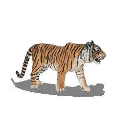 Bengal_Tiger1-big.png