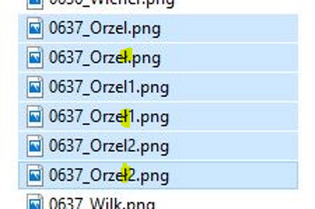 Orzel.jpg