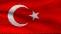 flag_turkey_hoi.JPG