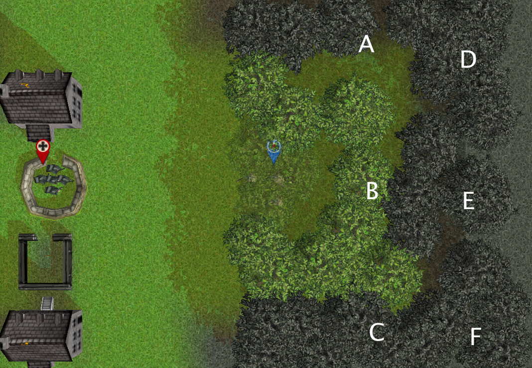 woods.jpg