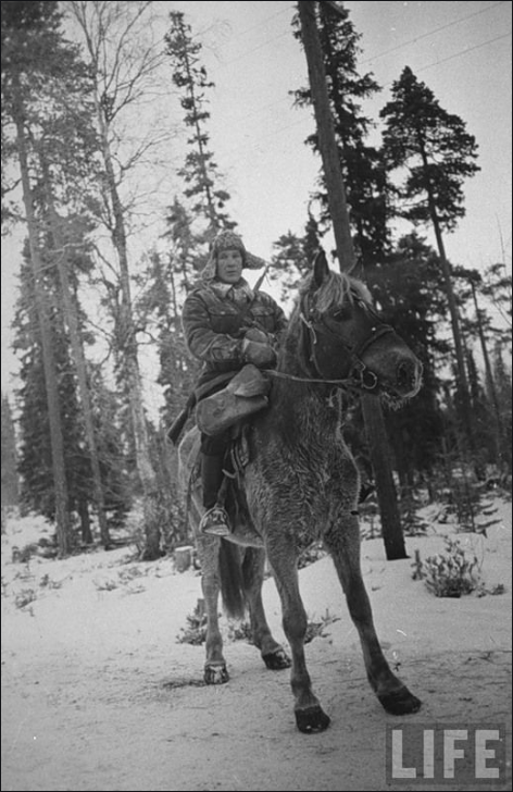 winter war 1939.png