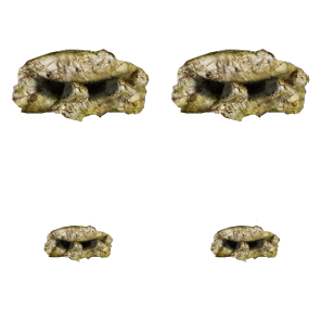 Cave_Bunker2.png