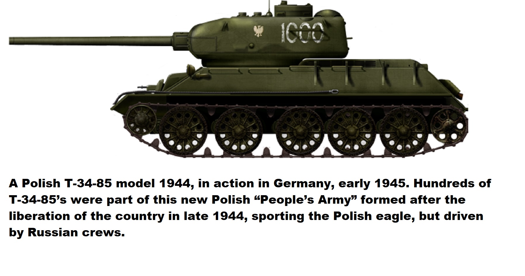T34-85_Polish.jpg
