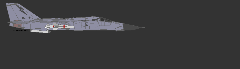 F-111C-SOW-A.gif