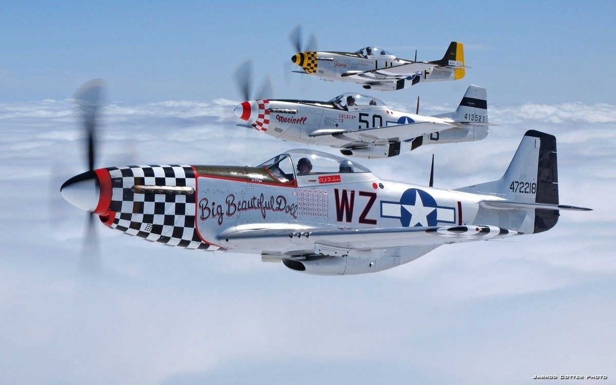 p-51.jpg