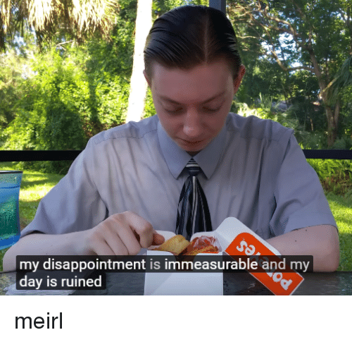 my-disappointment-is-immeasurable-and-my-day-is-ruined-meme.png
