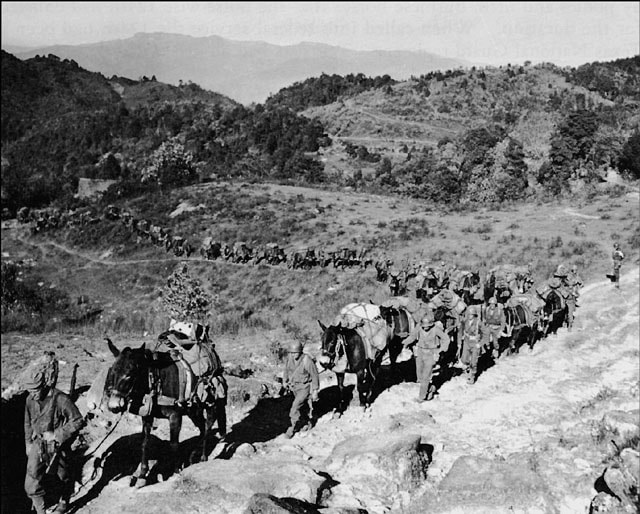 mules-mars-task-force_orig.jpg