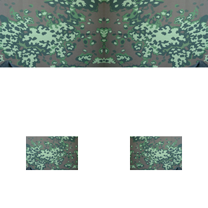 SS Eichenlaub Frühling.png