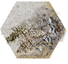Silo Ruins Tile.png