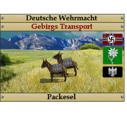 PM000145_Packesel.png