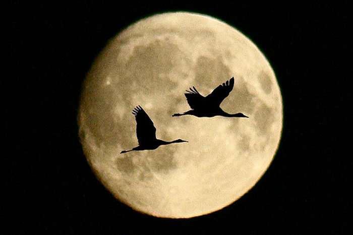 moon_photo_19.jpg