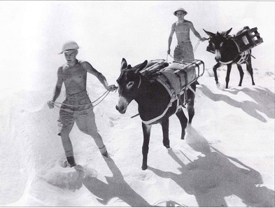 Afrika transport.jpg