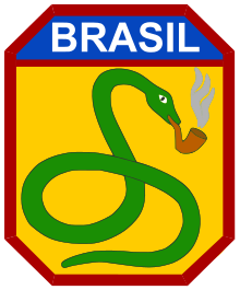 Brazilian_Expeditionary_Forces_insignia_(smoking_snake).svg.png