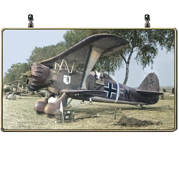 000-622_Hs_123A1dive.png