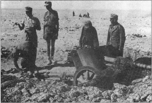 Pak 38 ambush Afrika.JPG