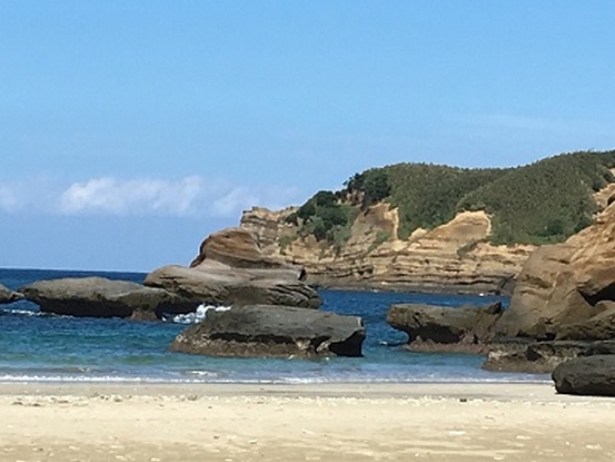 tanegashima-japan-beaches-hamada-beach-picture-1_jpg.jpg