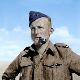 Size is 256 x 256 pixels<br />Resolution is 72 pixels/inch<br />Unit: &quot;1er Bataillon d'Infanterie de Marine&quot;<br />Rank: Adjutant<br />Possible place and date: Western Desert (Bir Hakeim) - Spring 1942.