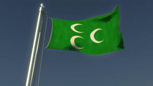 Congratulations Brian.gif