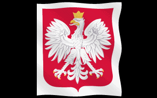 polskie zwycięstwo.gif