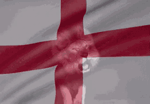 england prevails.gif