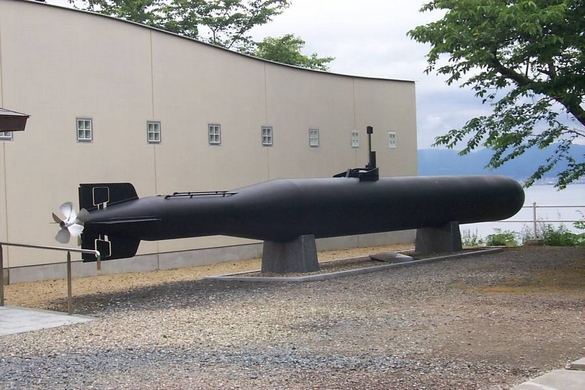 kaiten.jpg